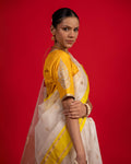 PIVLA SAREE