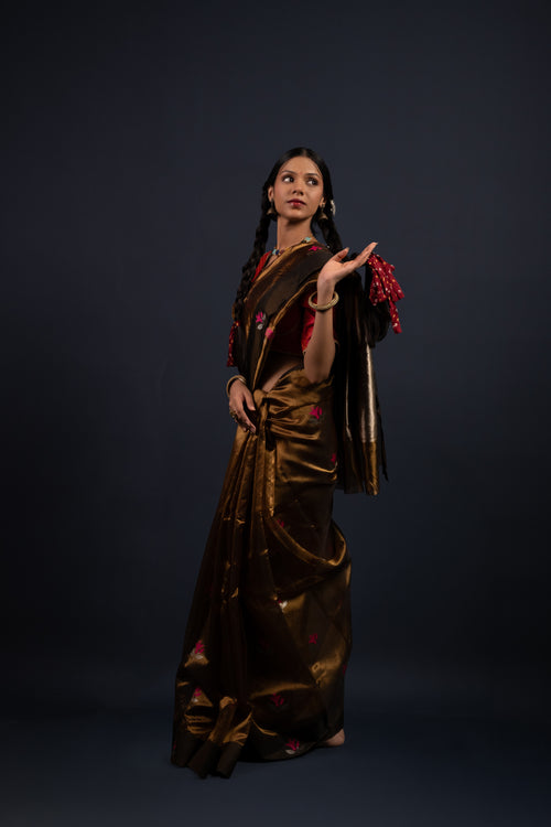 CHAMPA SAREE